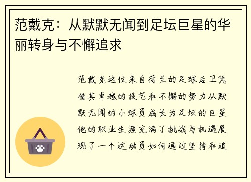范戴克：从默默无闻到足坛巨星的华丽转身与不懈追求